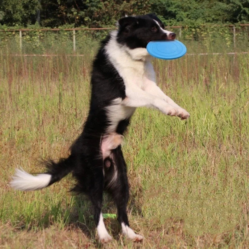 Flying Saucer Interactive Dog Toy