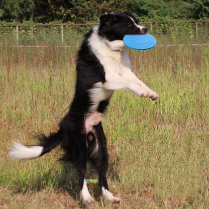 Flying Saucer Interactive Dog Toy
