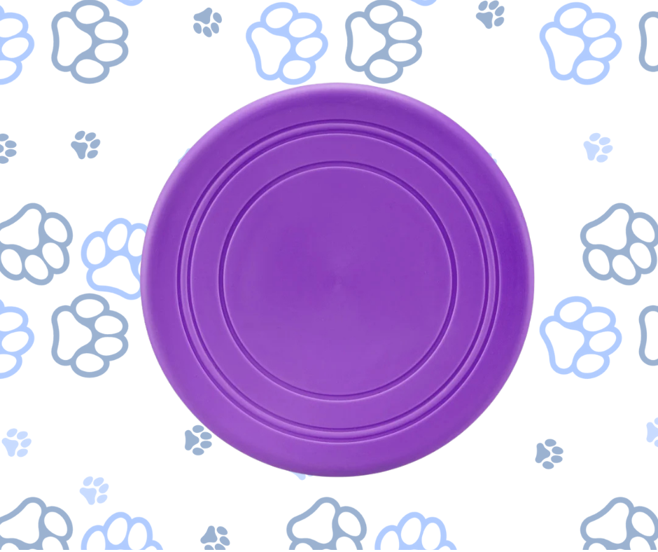 Flying Saucer Interactive Dog Toy